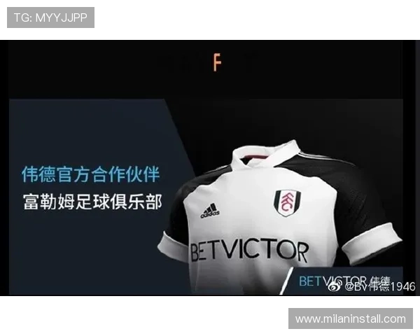 伟德足球比赛数据分析与预测技巧帮助玩家提升胜率和盈利能力